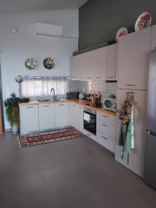 Köök või kööginurk majutusasutuses La Casa Del Sol Villa Aegina