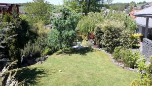 eine Aussicht über einen Garten mit Bäumen und Gras in der Unterkunft Ferienhaus für sieben Personen mit überdachter Terrasse - a82656 in Friedrichshausen + 31 Fotos