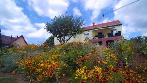 Gallery image of Wohnung Du Coucou In Lichtenberg in Lichtenberg