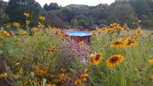 Gallery image of Wohnung Du Coucou In Lichtenberg in Lichtenberg +28 photos