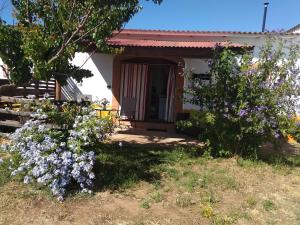 Zahrada ubytování Finca El Chorrillo Studio