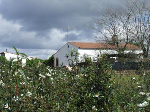 a white church with a field of flowers in front of it at Finca El Chorrillo Studio in Alcuéscar
