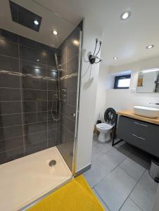 een badkamer met een douche, wastafel en toilet bij Maisonnette cosy montagne in La Garde