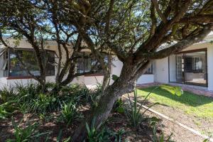 a tree in front of a house at Sea Bliss in Kenton on Sea
