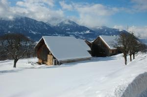 Ferienhaus Dünser In Dünserberg v zimě