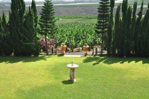 a fire hydrant sitting in the middle of a lawn at Hacienda in Moya