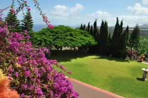 a garden with purple flowers and trees and a lawn at Hacienda in Moya +12 photos