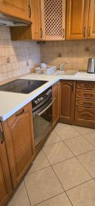 Kuchyň nebo kuchyňský kout v ubytování Sun&Sport Beskidzki Horyzont