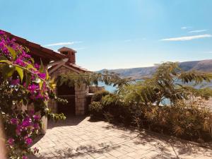ein Haus mit Blumen an der Seite in der Unterkunft Ferienhaus mit Terrasse und Pool, strandnah und ruhig gelegen in der Nähe von Novalja in Novalja