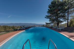 une grande piscine avec des chaises et des arbres dans l'établissement Podere Vecciale, à Cavriglia