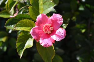 Gallery image of Villa Vida Nova in Monchique