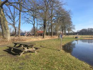a picnic table in a park next to a pond at Geräumiges Ferienhaus Mitten Im Wald in Winterswijk