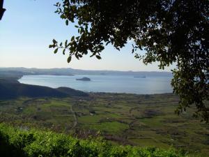 Φυσικό τοπίο κοντά σε αυτό το διαμέρισμα +13 φωτογραφίες