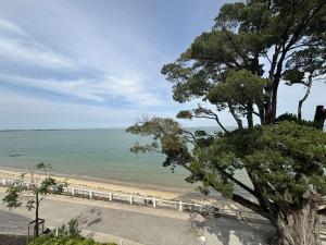 a view of a beach with a tree and a train at Appartement rénové 3 pièces, vue mer, 4 couchages, Wifi, St-Trojan-les-Bains - FR-1-246A-315 in Saint-Trojan-les-Bains