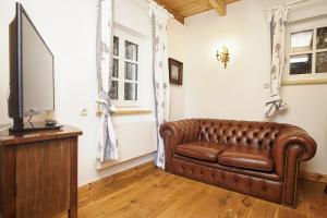 LietzowLandhaus Lietzow Häuschen Tiny Cabin的客厅设有棕色皮沙发,配有平面电视