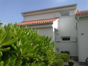 ein weißes Haus mit vielen grünen Pflanzen in der Unterkunft Ferienhaus für 5 Personen ca 90 m in Petrčane, Dalmatien Zadar und Umgebung in Petrcane