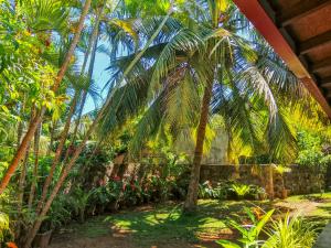 a palm tree in a garden with flowers at White Villa - Homestay in Tangalle