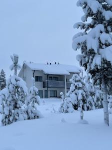 Villa Blacksmith om vinteren