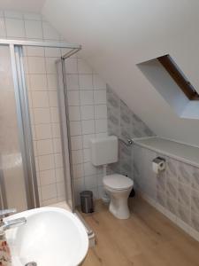 une petite salle de bain avec toilettes et douche dans l'établissement Ferienhaus Würzgarte, à Ürzig 32 autres photos