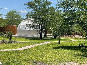 Κήπος έξω από το KwaZambezi Glamping Site