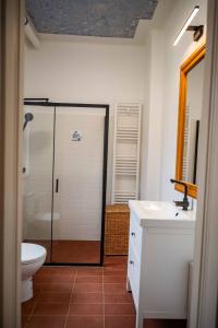 une salle de bains avec douche, toilettes et lavabo dans l'établissement Curte la Munte - charming village house, à Sebeşu de Sus