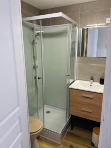 a bathroom with a shower and a toilet and a sink at Le refuge du Cerf in Allemont +4 photos