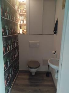 Koupelna v ubytování La Loge des Artistes + 31 fotografií