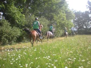 un grupo de personas montando a caballo en un campo en Gîte de Mandarou, en Castelsagrat