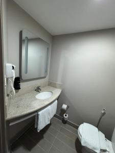 タトゥイーにあるibis Tatuiの洗面台、鏡、トイレ付きのバスルーム