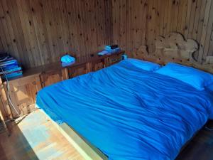 Ένα ή περισσότερα κρεβάτια σε δωμάτιο στο Bormio 5 villa