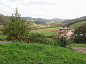 une vue d'un champ vert avec des arbres et des maisons dans l'établissement Le Gîte de Saint Izaire, à Broquiès