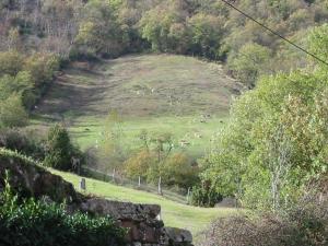 d'un troupeau d'animaux herbivores dans l'établissement Le Gîte de Saint Izaire, à Broquiès 4 autres photos