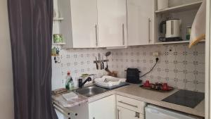 Η κουζίνα ή μικρή κουζίνα στο Charmant studio Luchon