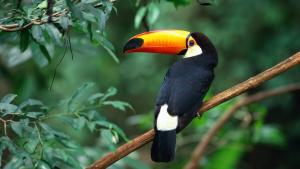 Φωτογραφία από το άλμπουμ του Qui E Ora σε Lũng Tiềm