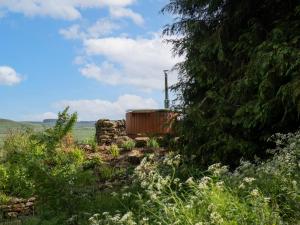 ein Zugwagen auf einem Hügel in der Unterkunft Broomstick Cottage in Elsdon + 9 Fotos