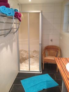 Vannituba majutusasutuses Appartement Ackerli +21 fotot