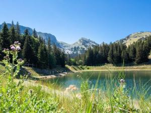 a river with trees and mountains in the background at Appartement cosy, balcon sud, 2 chambres, parking gratuit à 10 min du centre et proche ski ! - FR-1-548-4 in Villard-de-Lans +2 photos