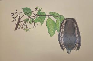 Photo de la galerie de l'établissement Hotel la Saladilla Beach Club, à Santa Cruz de Barahona