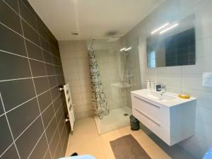 Koupelna v ubytování Le Cabanon du Lac, Aix-les-Bains