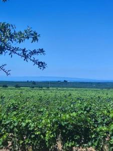 Φυσικό τοπίο κοντά σε αυτή η εξοχική κατοικία +2 φωτογραφίες
