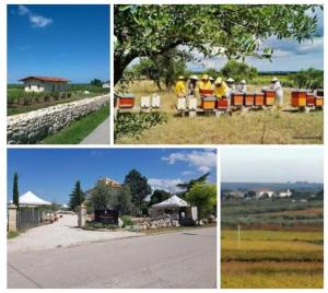 Φωτογραφία από το άλμπουμ του Country House Biobonizio σε Montegrosso