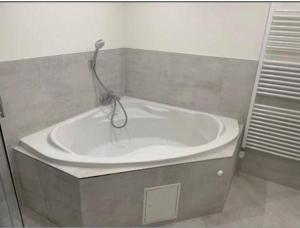 Vannituba majutusasutuses Seaside-Amrum-1