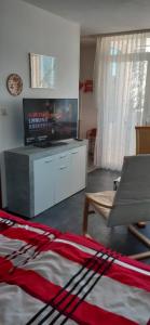 ein Wohnzimmer mit Flachbildfernseher und Couch in der Unterkunft Fewo Therme inkl Handtücher und Bettwäsche in Altenau