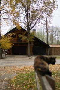 Το κτήριο όπου στεγάζεται  το διαμέρισμα +3 φωτογραφίες