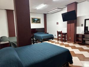 Μια τηλεόραση ή/και κέντρο ψυχαγωγίας στο HOTEL y Vapor PLAZA