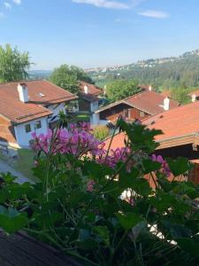 vue d'une ville aux toits et aux fleurs violettes dans l'établissement Appartement In Raßreuth Mit Gemeinsamem Pool, à Hauzenberg