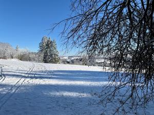 un champ enneigé avec des arbres et une branche d'arbre dans l'établissement Westerwald Hideaway, 