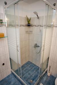 La salle de bains est pourvue d'une douche avec une plante. dans l'établissement Villa Jenny Stylianou, à Spetses