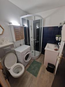 Un baño con inodoro, ducha y lavabo. en Charmant studio, en Saint-Gervais-les-Bains