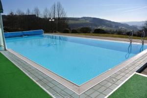 Bazén v ubytování Thermen Apartment nebo v jeho okolí